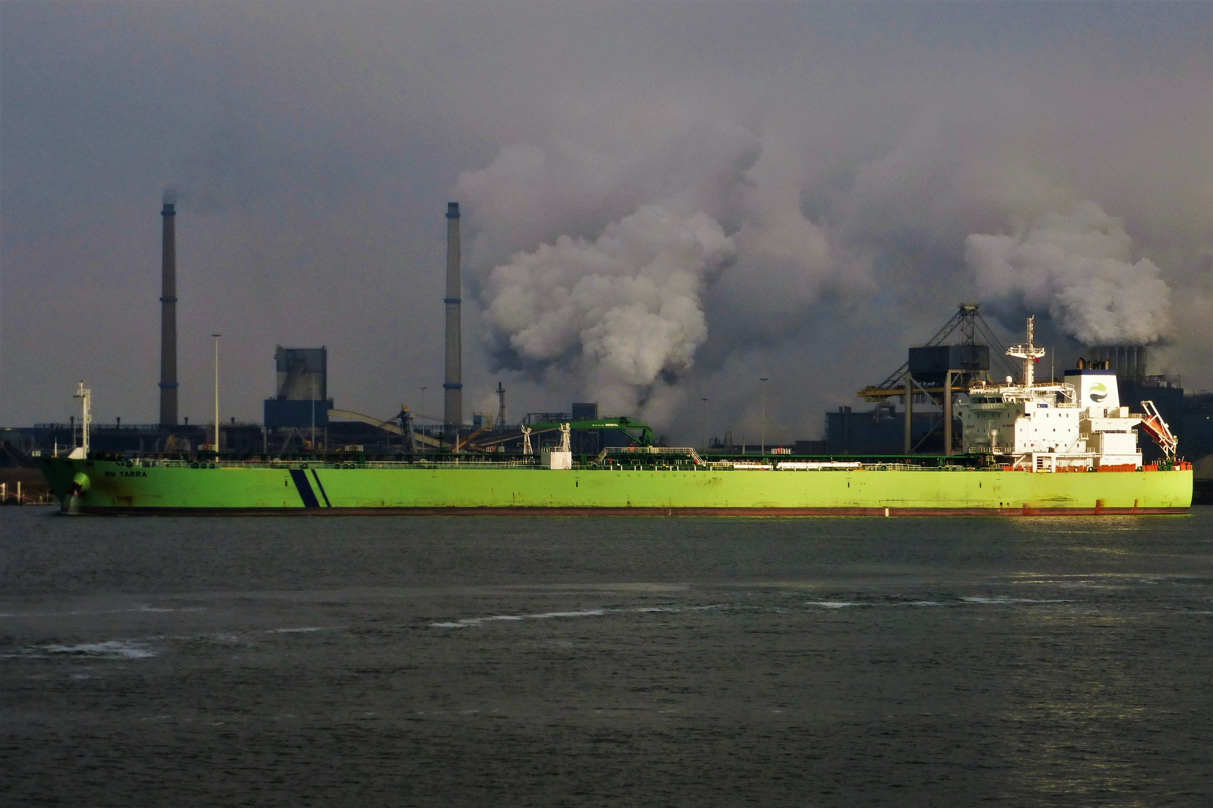 BW YARRA